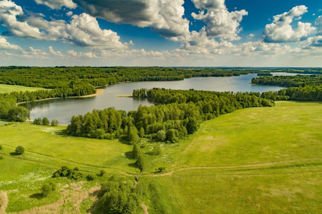 działka na Mazurach blisko lasu